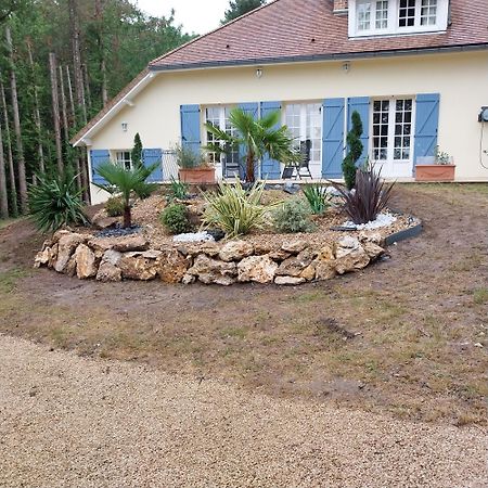 Le Clos Du Renard Sermaise  Bagian luar foto