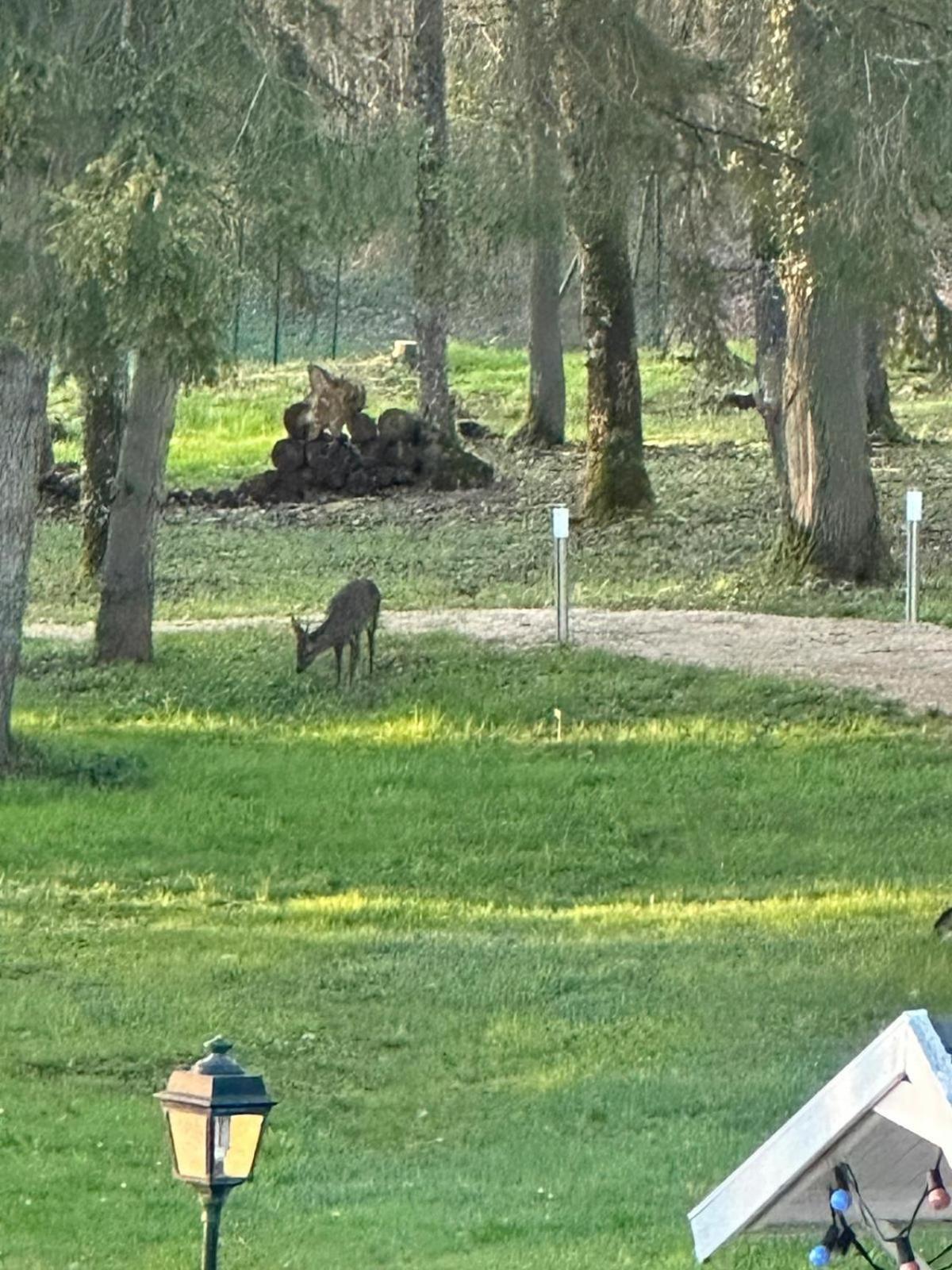 Le Clos Du Renard Sermaise  Bagian luar foto